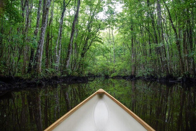 Building Photo - 84 Alston Dr