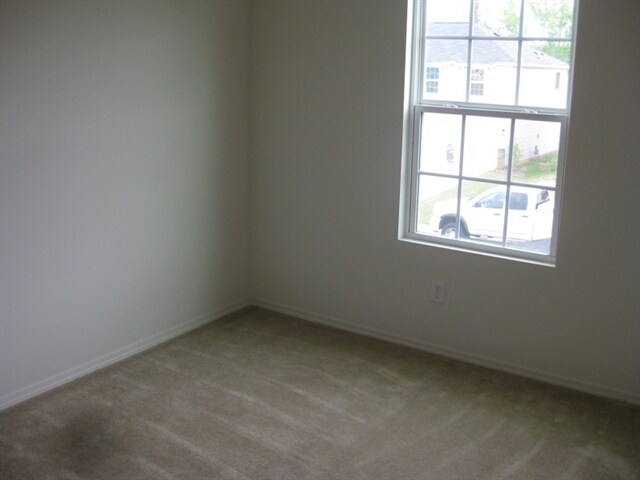 Building Photo - 423 Kerriann Ln