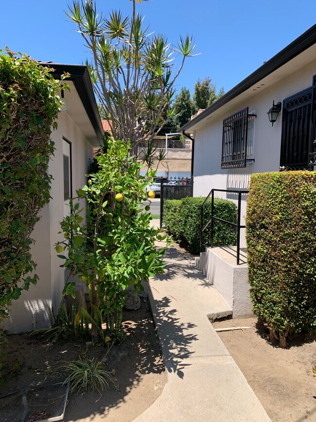 Private Enclosed Yard - 8260 Willoughby Ave