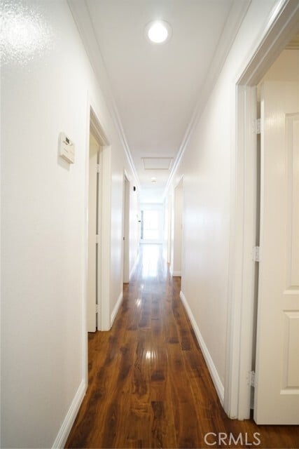 Building Photo - 2485 Calle Villada Cir
