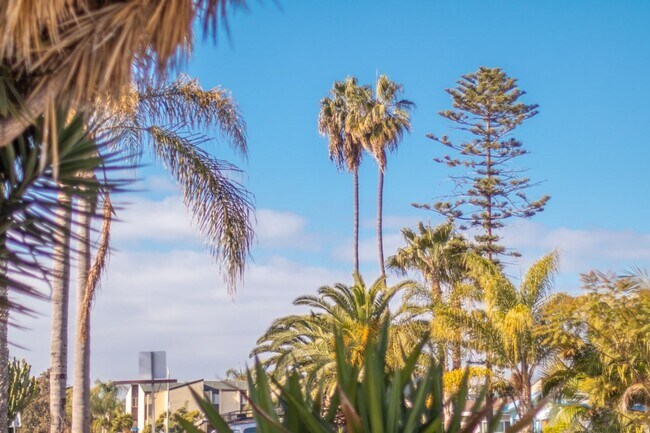 Building Photo - Blocks From the Ocean, Refreshed 1bd / 1ba in Pacific Beach!