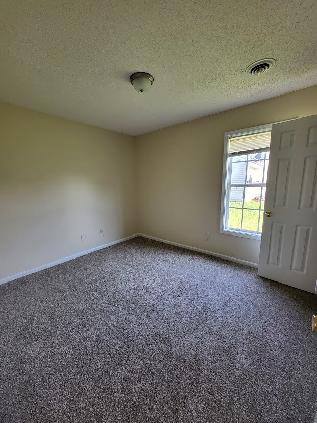 Building Photo - 1021 Centipede Dr