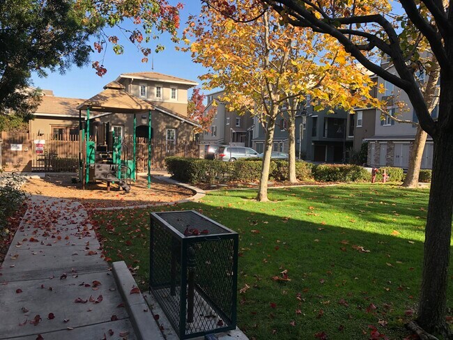 Community park - 1797 Snell Pl