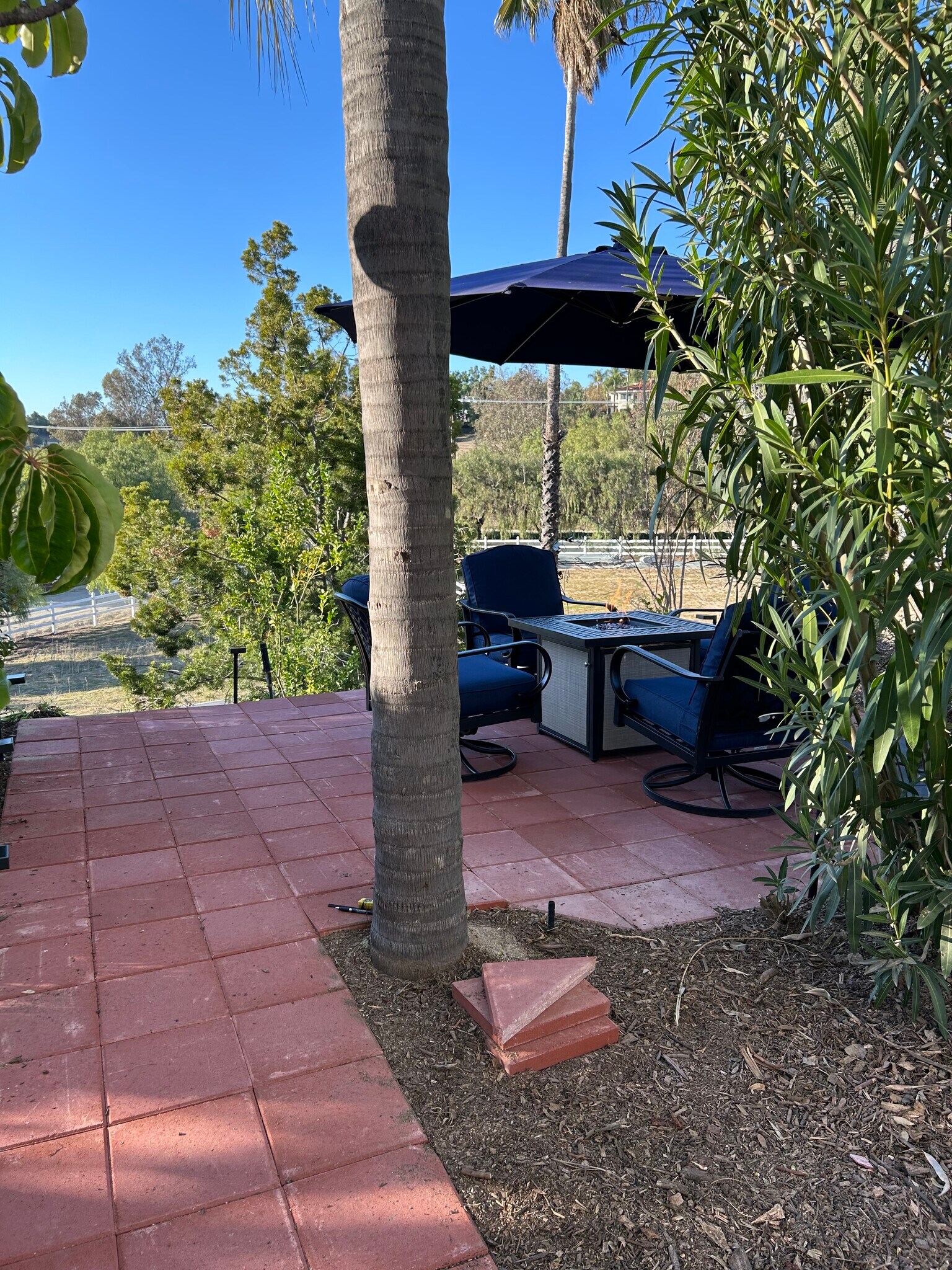 Outdoor Patio View - 34545 Linda Rosea Rd