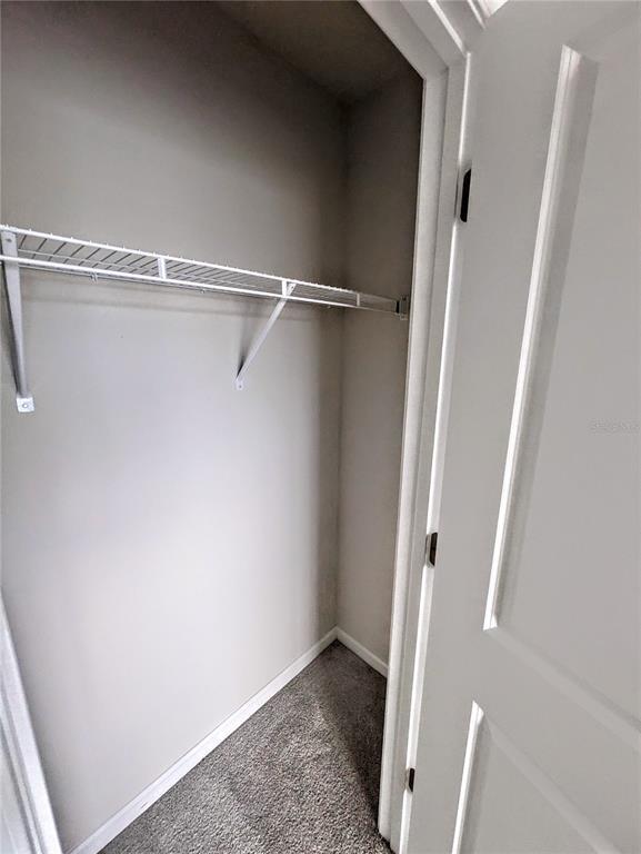 Building Photo - 5429 Spanish Moss Cv