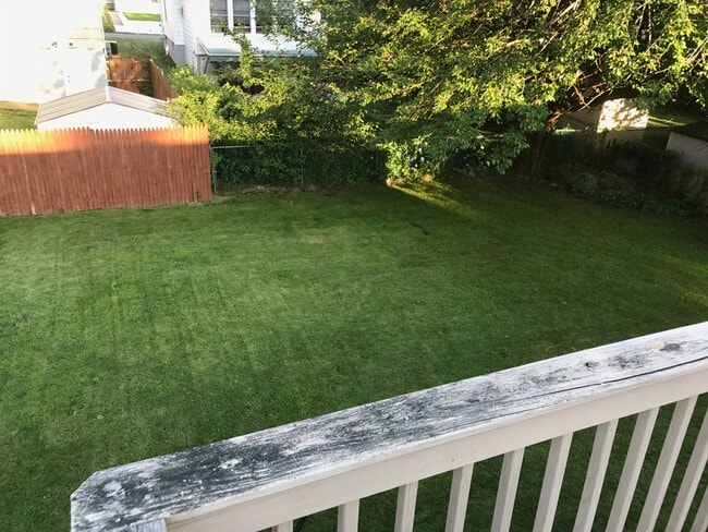 Back yard - 85 Wilson Ave