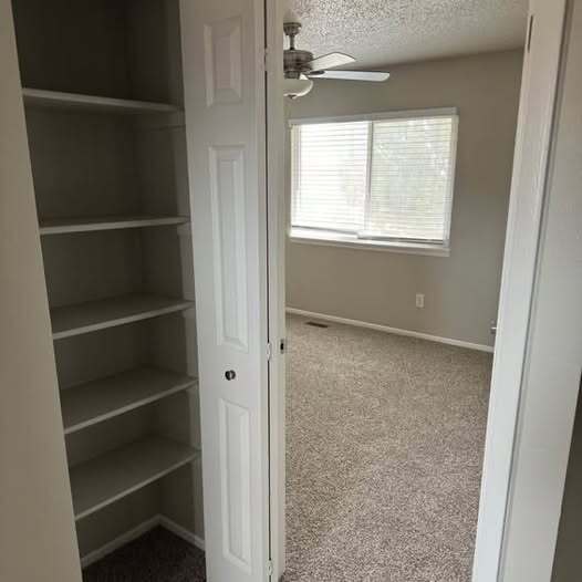 Building Photo - 2386 Washo Cir