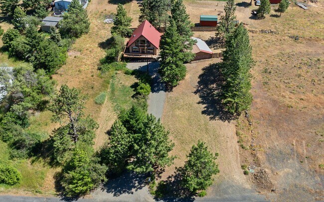 Building Photo - Rustic Cabin Among the Trees