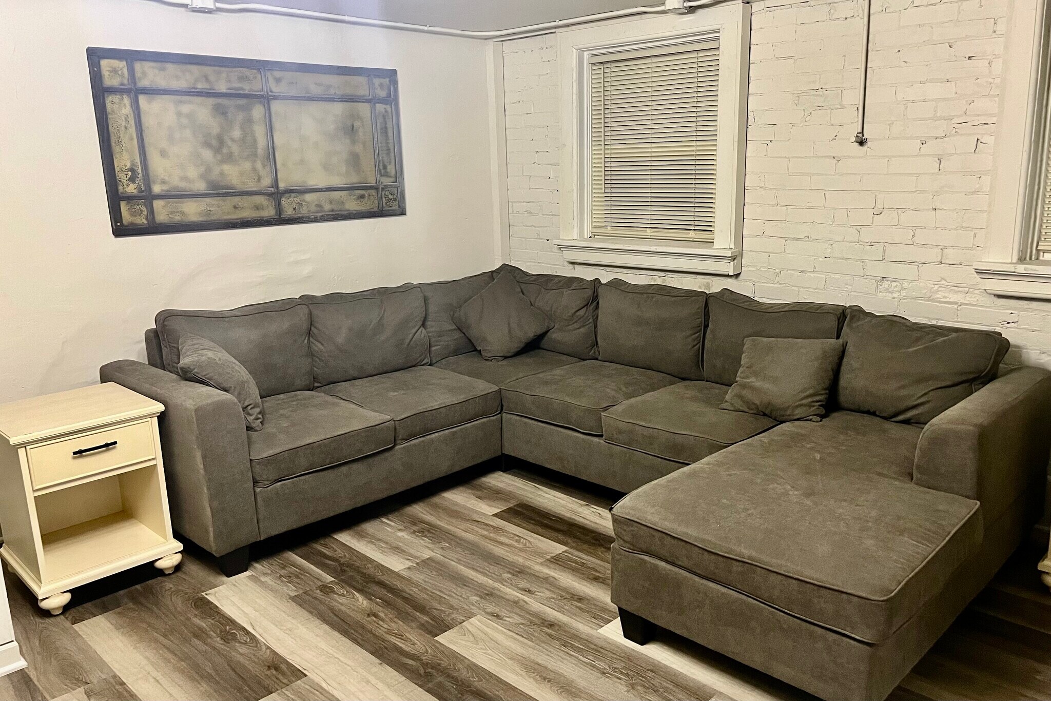 Lower level living room (with furniture for pets) - 1540 N 10th St