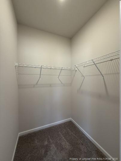 Building Photo - 274 Deodora Ln