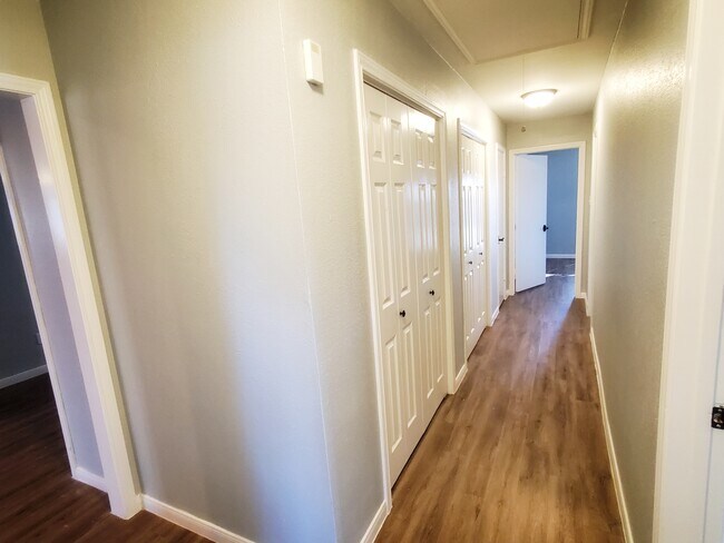 Hallway to secondary bedrooms is lined with closet storage space. - 37438 Meadowview Dr