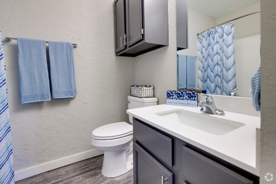 1BR, 1BA - 600SF - Bathroom - Winchester Run