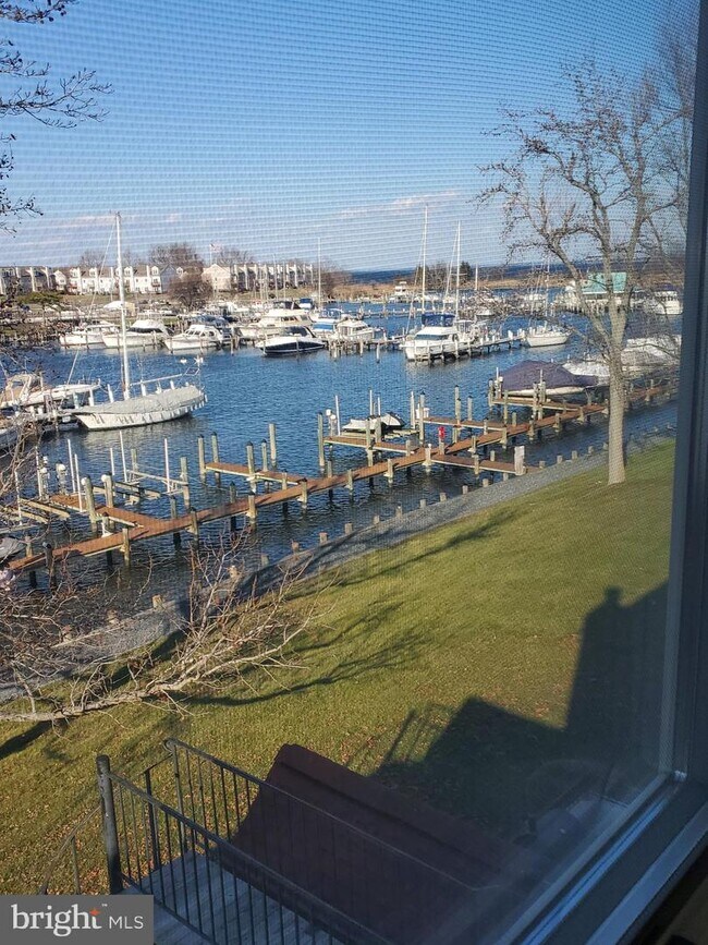 Building Photo - 5 Queen Victoria Way