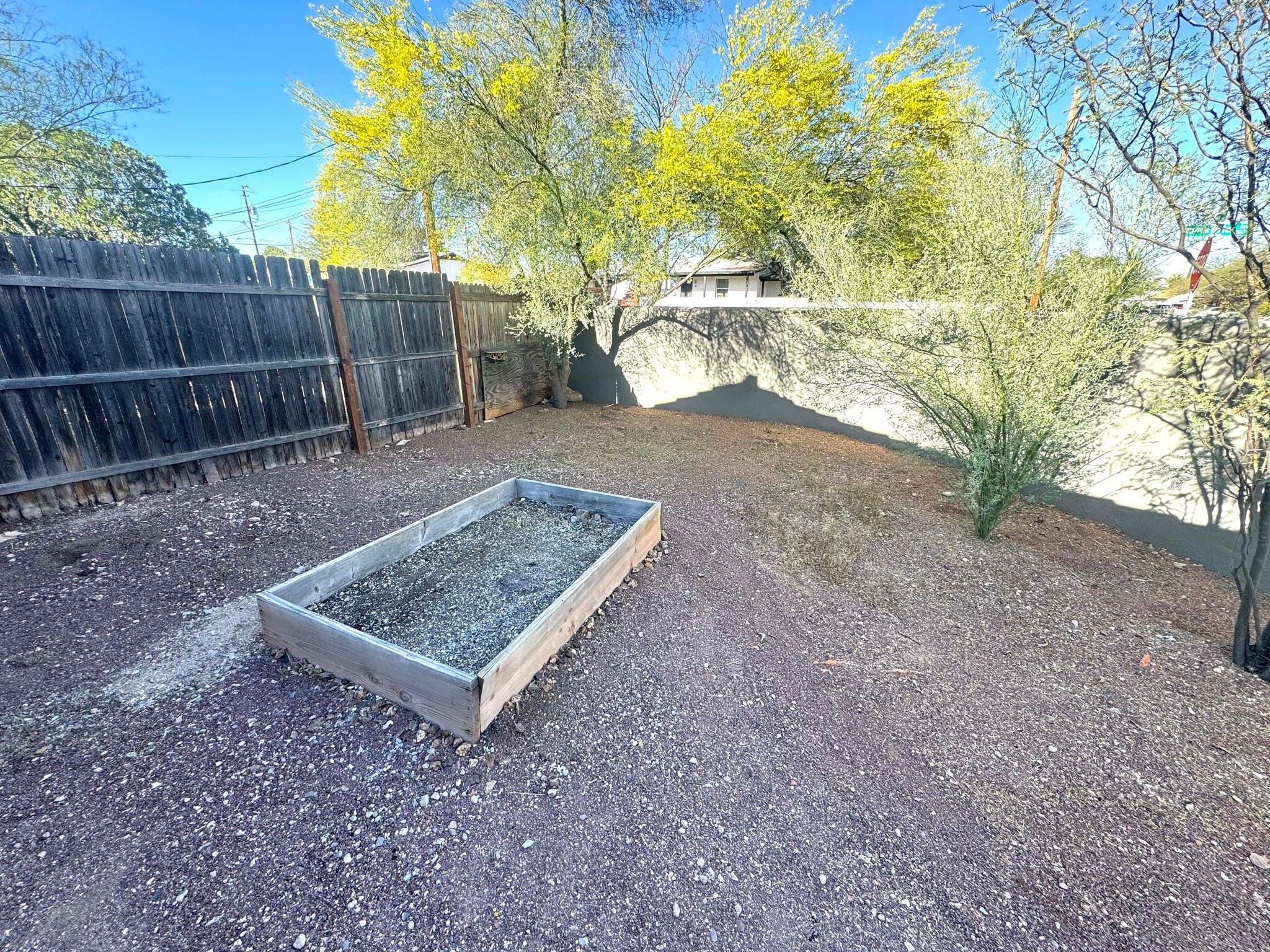 Yard Area - 198 N Santa Rita Ave