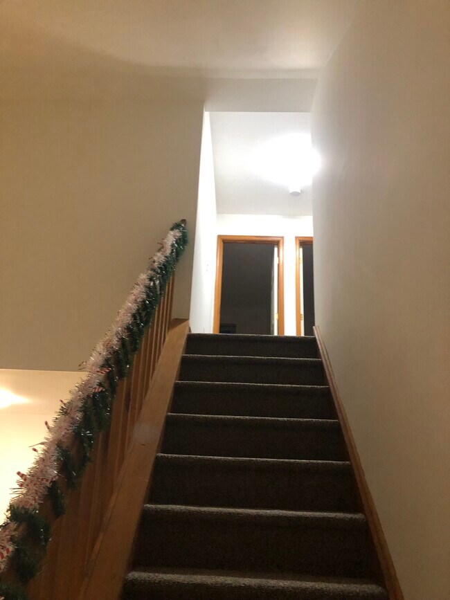 Newly carpeted stairs - 2650 Tamlynn Ct