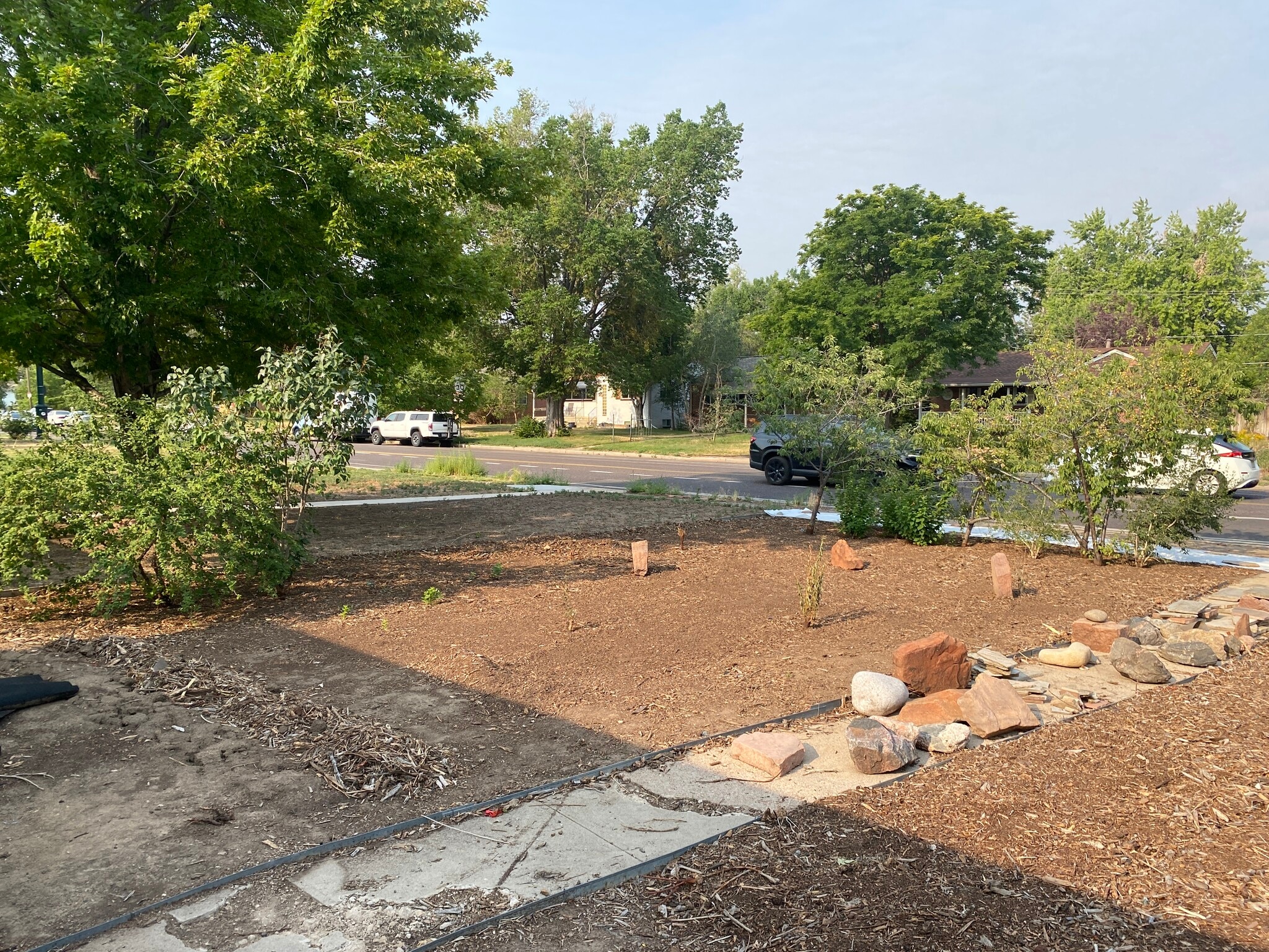 front orchard prepped and planted with transplants - 1690 Syracuse St