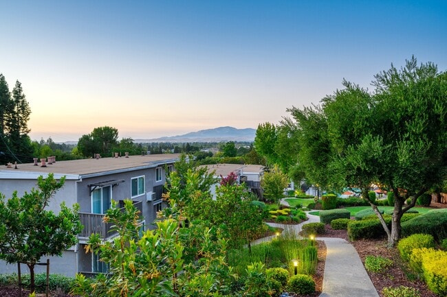 View from top of Pleasanton Heights Apartments - Pleasanton Heights