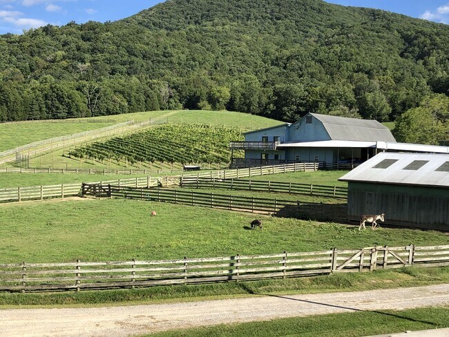 Building Photo - Home on Beautiful Farm and Vineyard Minutes From Town Of Blacksburg