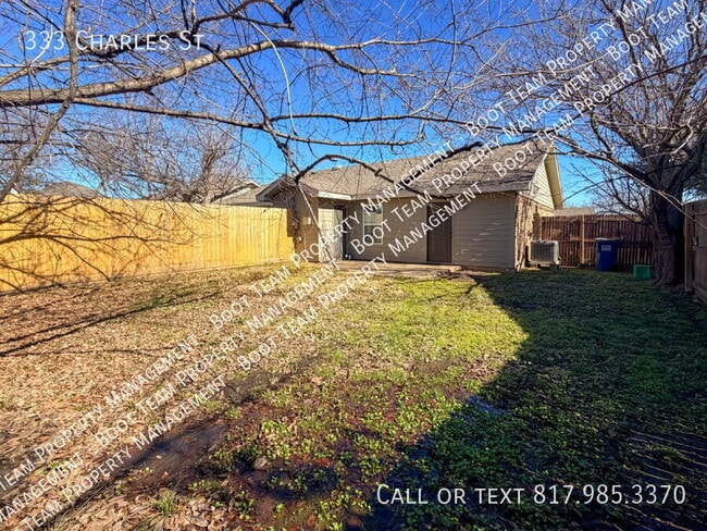 Building Photo - 333 Charles St