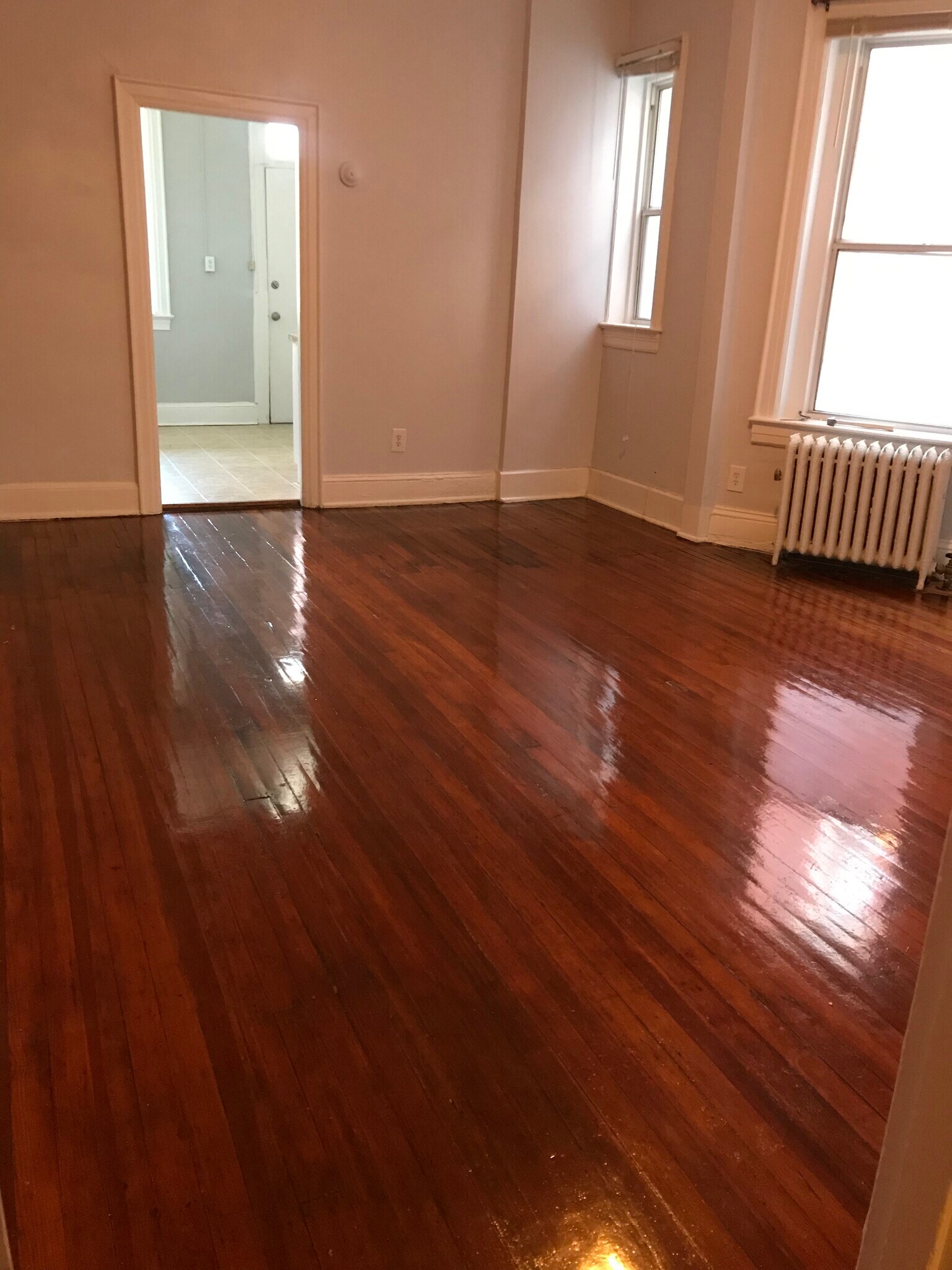 Living room with three large windows. - 1519 Park Rd NW