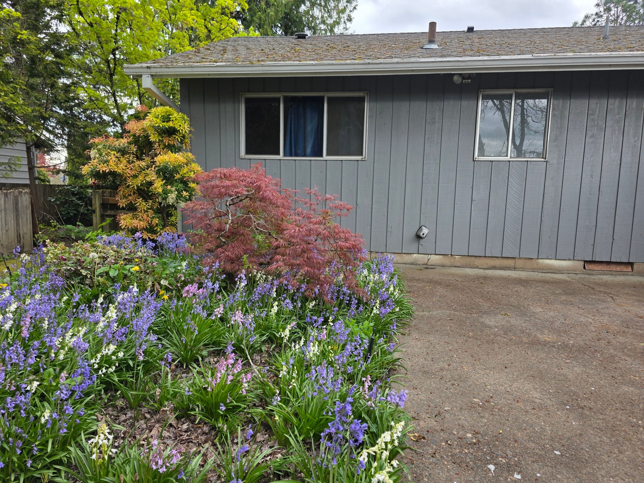 Building Photo - 5955 SW 179th Ave