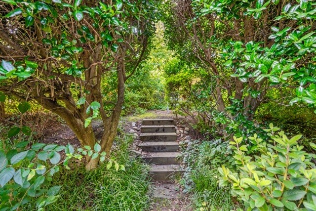 Building Photo - 2913 Old Dominion Blvd