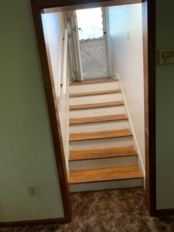 Building Photo - 241 Waddell Cir