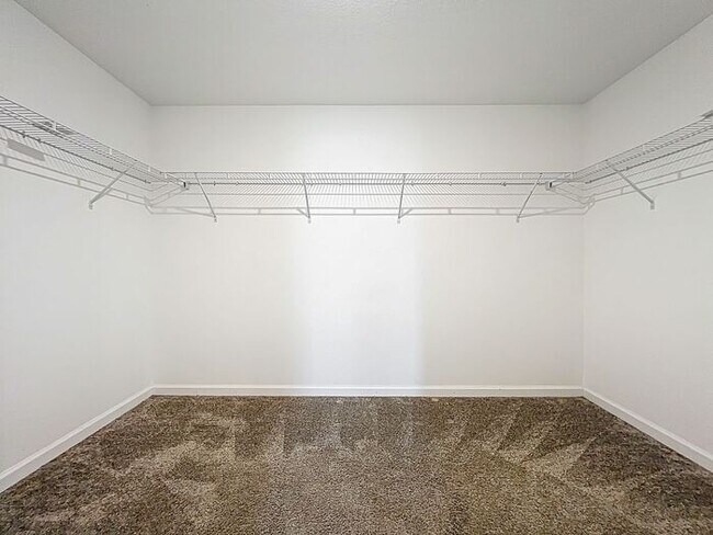 Building Photo - 4/2 Groveland Home with Solar Panels-MOVE IN SPECAIL: ONE MONTH FREE RENT