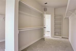 Building Photo - 5519 Bridlewood Dr