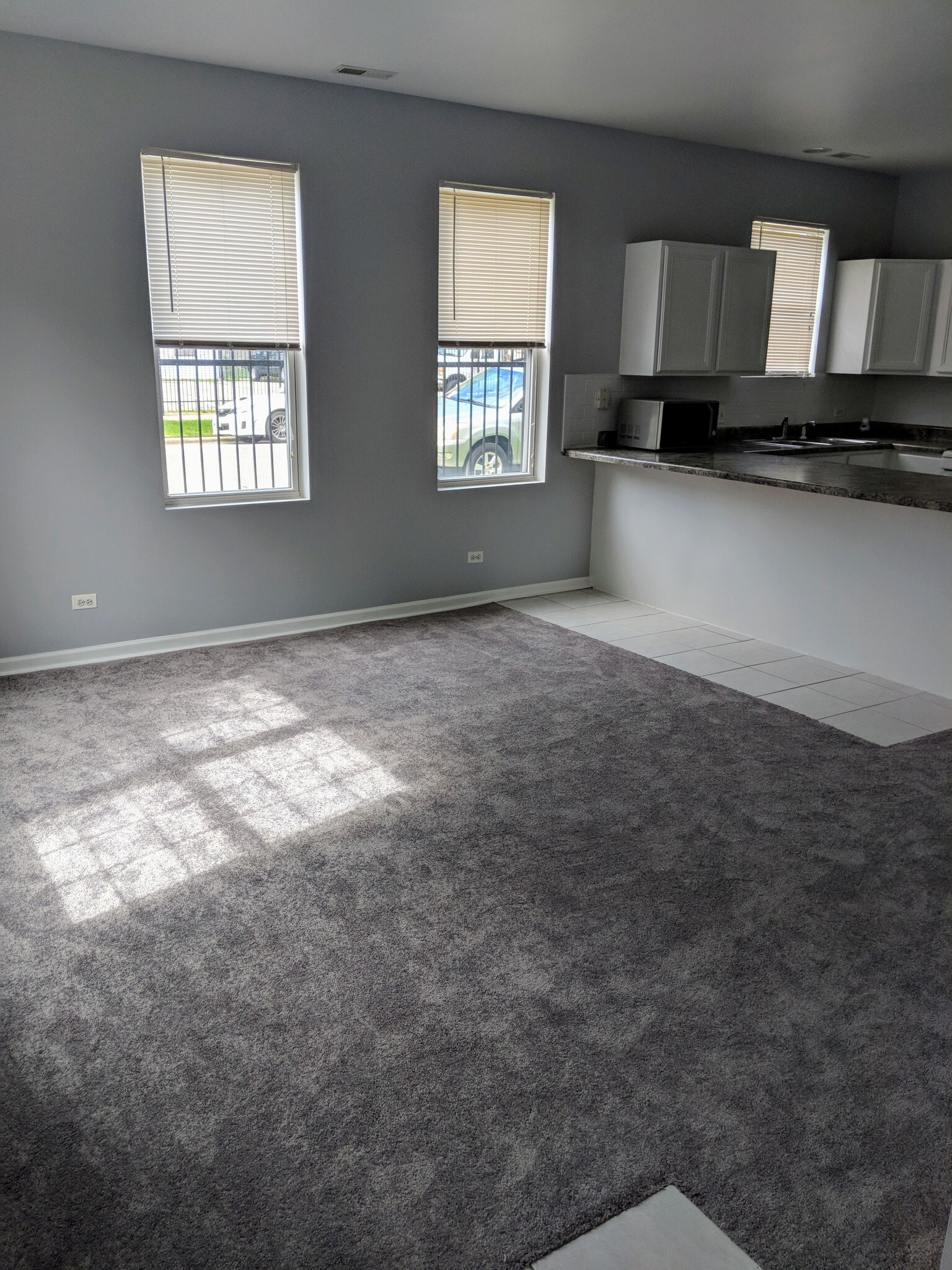Living Room - New Carpet & Paint! - 1457 N Rockwell St