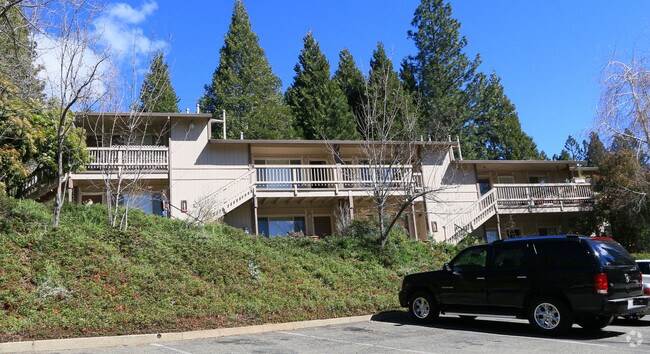 Primary Photo - Park Forest Apartments