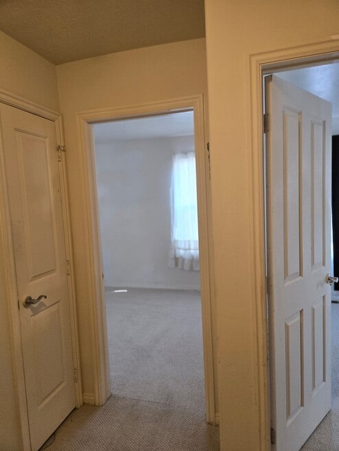 Building Photo - 862 Simondi Ave