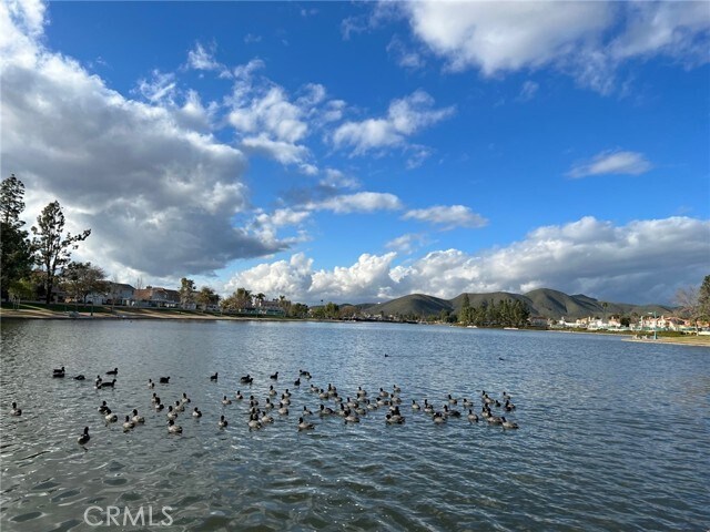 Building Photo - 30665 Spring Deep Terrace