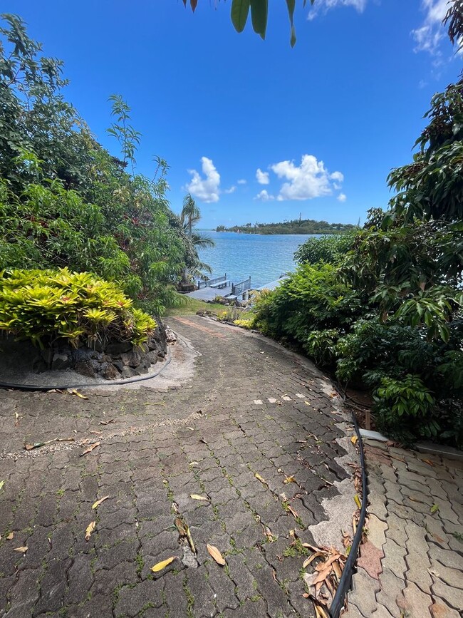 Building Photo - Hawaii living at its best.  Beautiful Kaneohe Bay front.