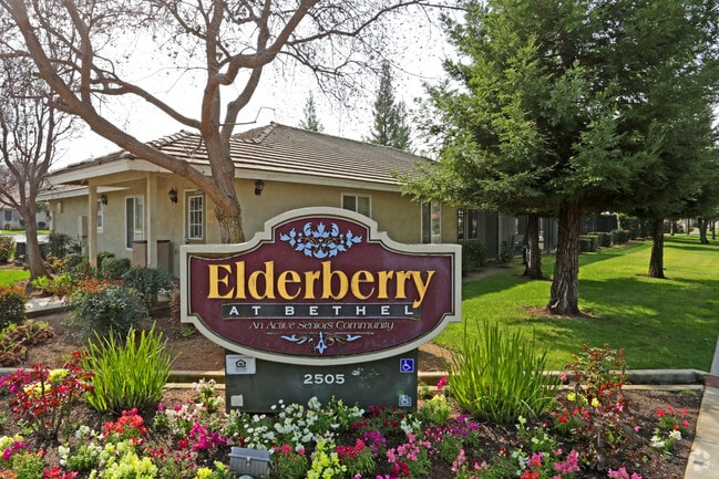 Primary Photo - Elderberry Senior Community