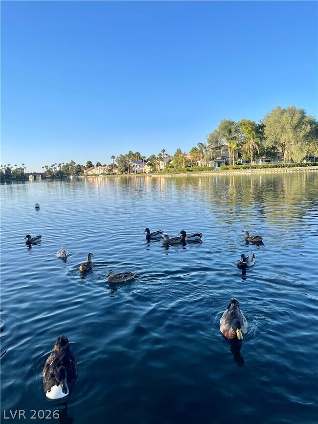 Building Photo - 3151 N Soaring Gulls Dr