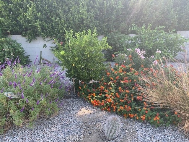 Building Photo - 980 N Biskra Rd