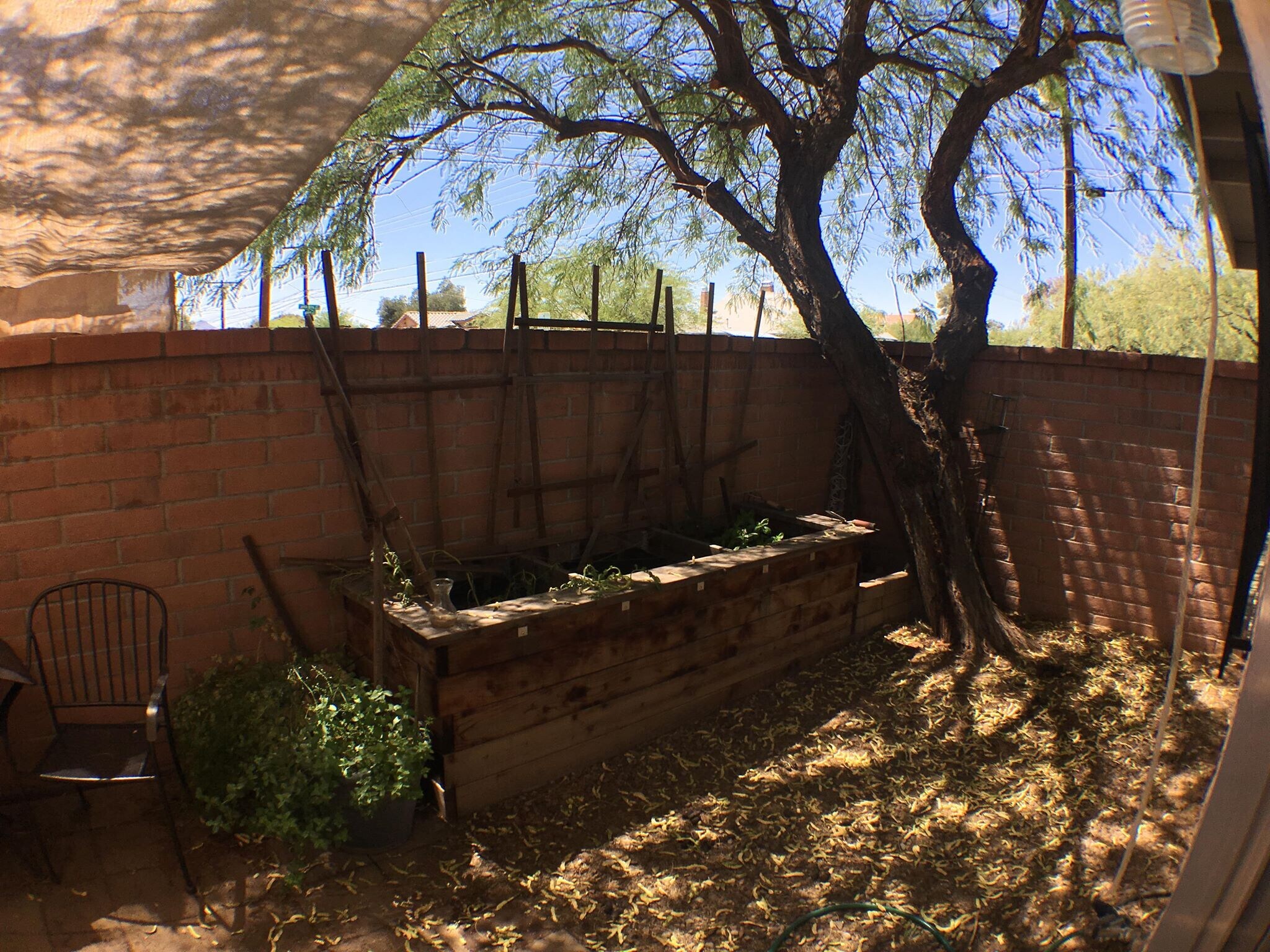 Building Photo - 1710 N Santa Rita Ave