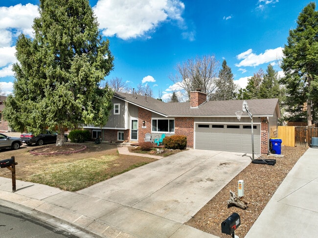 Primary Photo - 4806 Turquoise Circle Colorado Springs, CO...