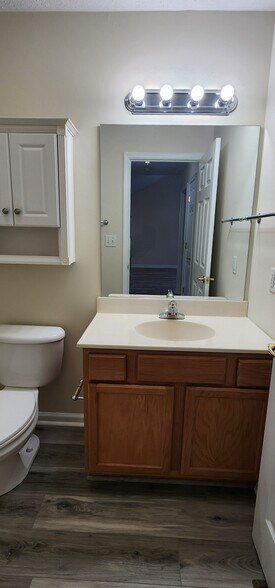 Hall bathroom - 1521 Mayberry Ln