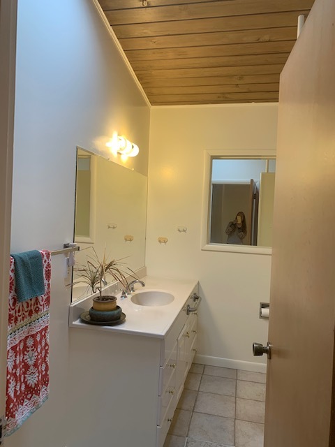 bathroom - 410 Boas Dr