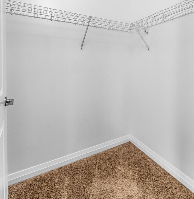 Building Photo - Bright & Cozy City Condo at The Metro!