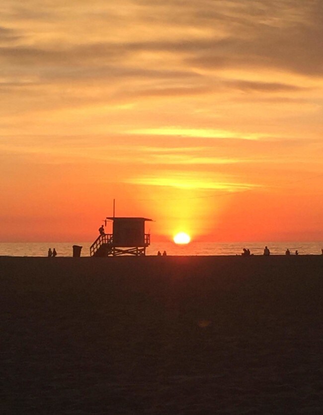 Building Photo - 1105 Palms Blvd