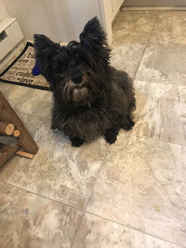 Building Photo - 15004 La Vale Rd