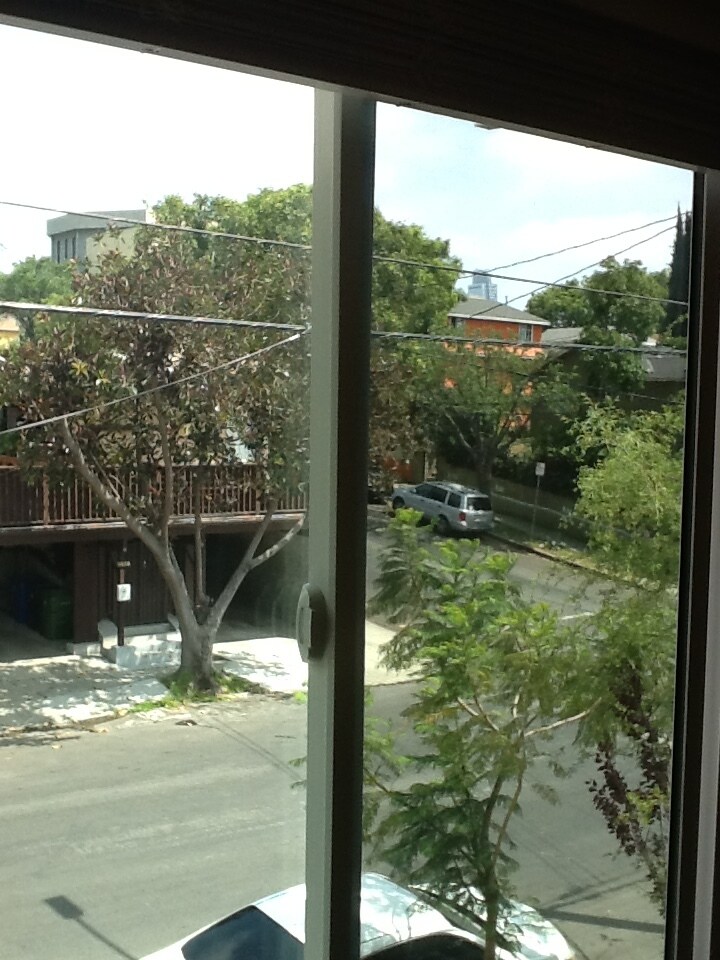Bedroom 1 window - 311 N Westlake Ave