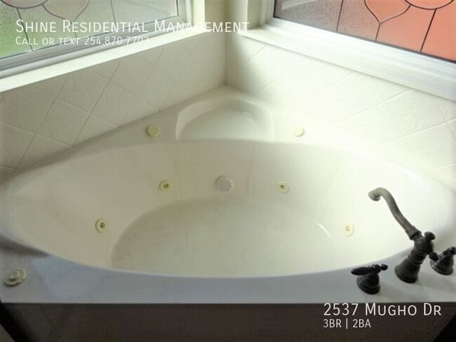 Building Photo - 2537 Mugho Dr