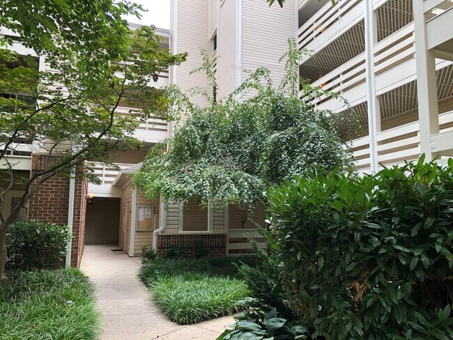 Building Photo - 240 S Reynolds St