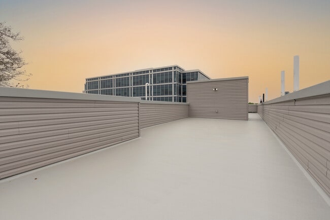 Shared rooftop. - 2034 Ridge Ave