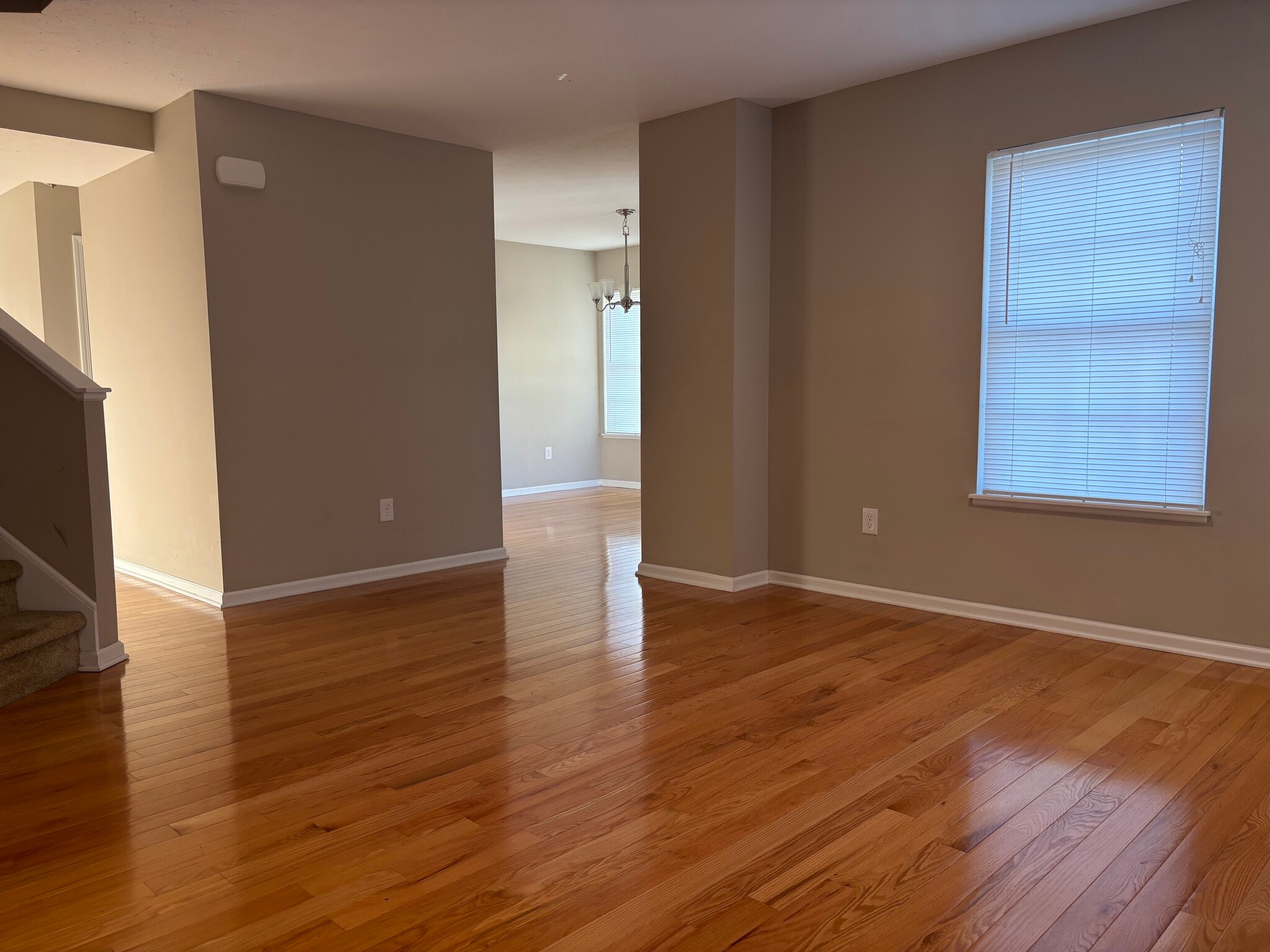 Living Room - 1913 E 86th St