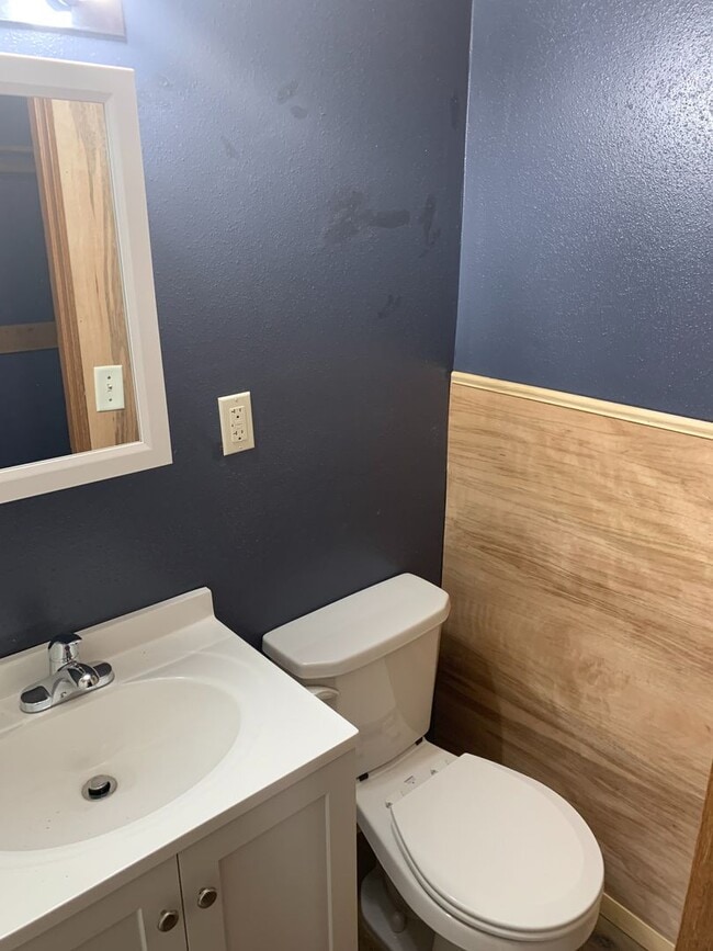 Building Photo - LARGE HOUSE IN CEDAR FALLS  fenced yard, deck, washer / dryer, central air,